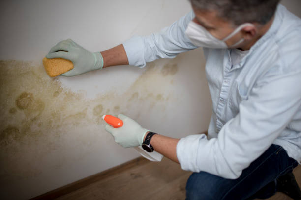 Water Damage Restoration in St Augustine Shores, FL